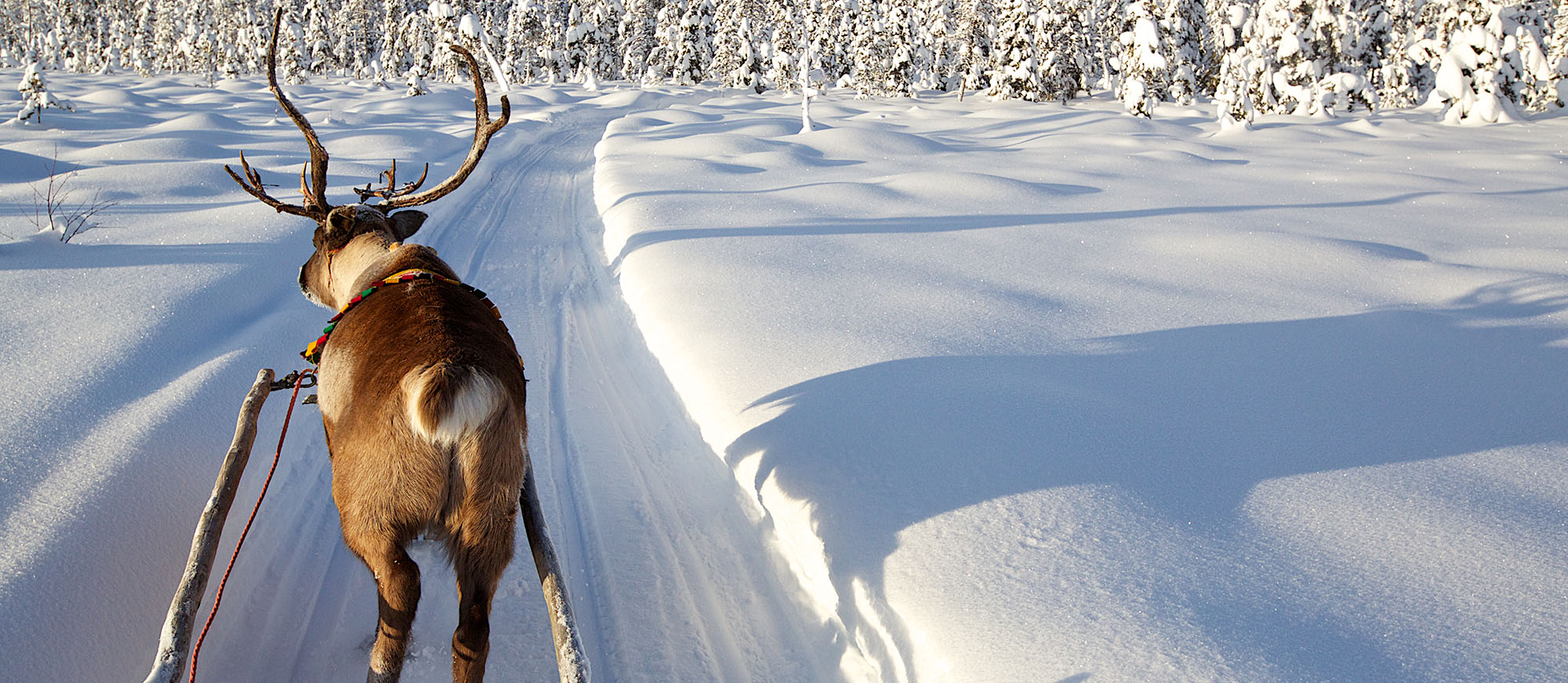 Eng seksual styuardessalar Turli xil narsalar bilan sikish